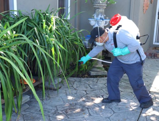 BugMaster Pest Control – pest control in San Jose