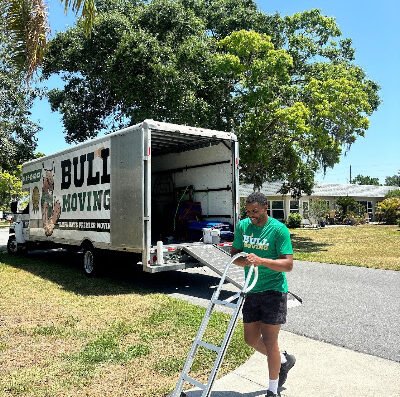 Bull Moving