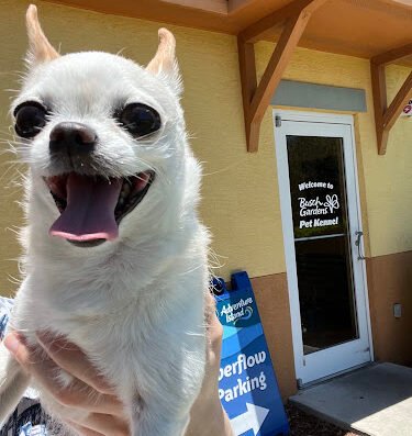 Busch Gardens Pet Kennel – pet care in Tampa