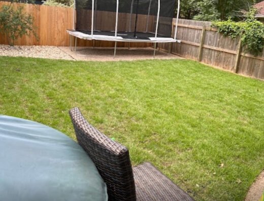 Care Green Tree Service