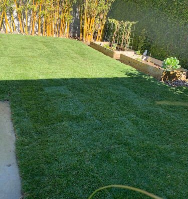 Carrillos Gardening Services – lawn care in Los Angeles