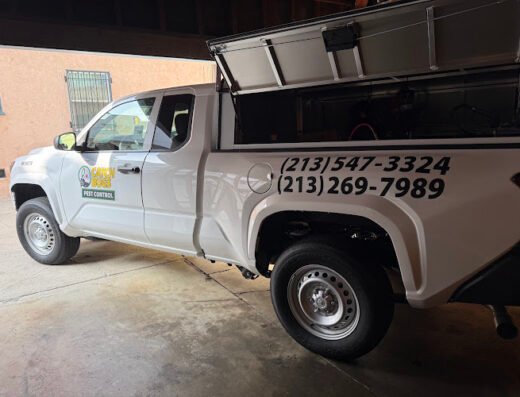 Catch Bugs Pest Control