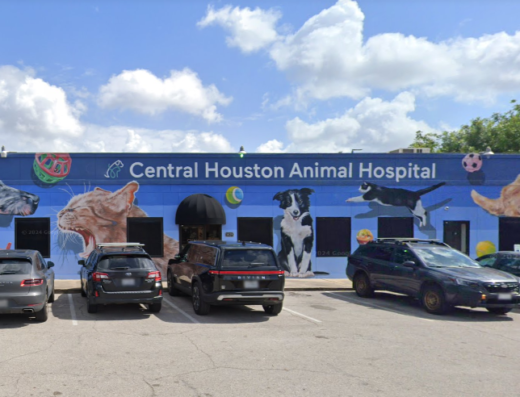 Central Houston Animal Hospital