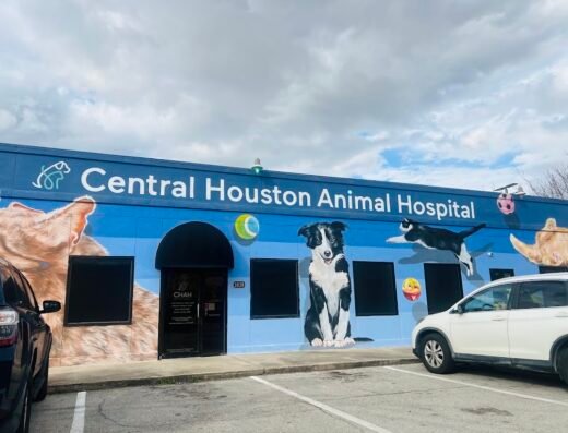 Central Houston Animal Hospital