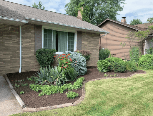Chicago Landscaping and Lawn Service Solutions