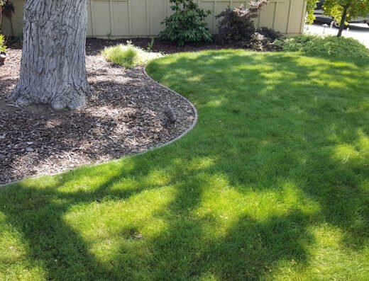 Clean Air Lawn Care San Jose – Lawn care in San Jose