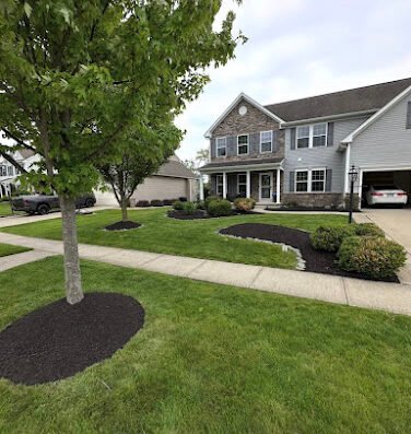 Clean Cut Landscaping Los Angeles