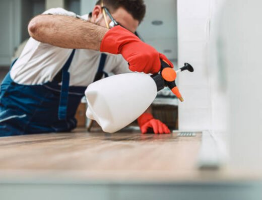 Clean Home Spot Elite Pest Control