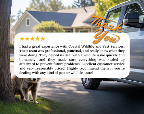 Coastal Wildlife & Pest Control Services – pest control in Jacksonville
