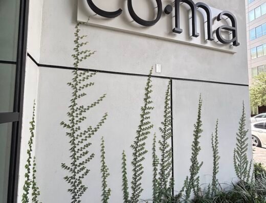 Coma Salon