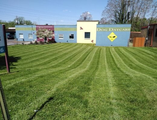 Corey's Lawn Maintenance – lawn care in Cincinnati (photo 1)