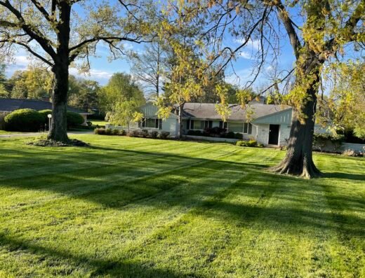 Corey's Lawn Maintenance – lawn care in Cincinnati (photo 2)
