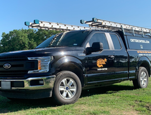 Critter Control – pest control in St. Louis