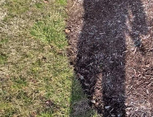 Cutting Time Lawn&Landscape – lawn care in Cincinnati (photo 2)