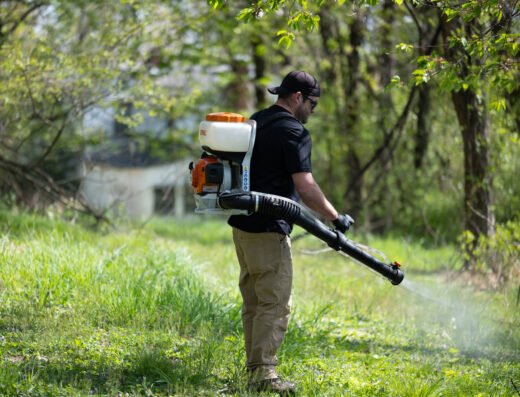 D-Bug Pest Control – pest control in Cincinnati (photo 2)