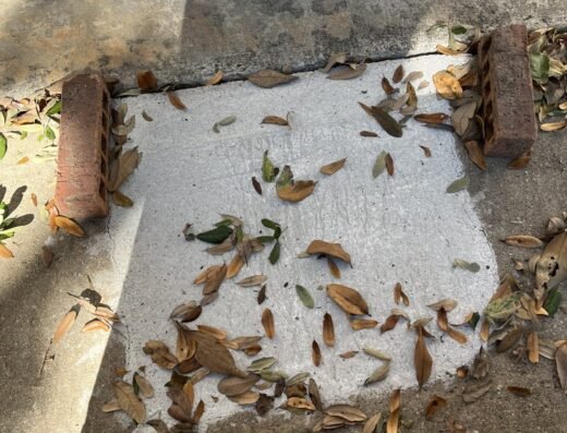 Close-up of a Houston home's foundation and walkway inspected by Dawson Foundation Repair