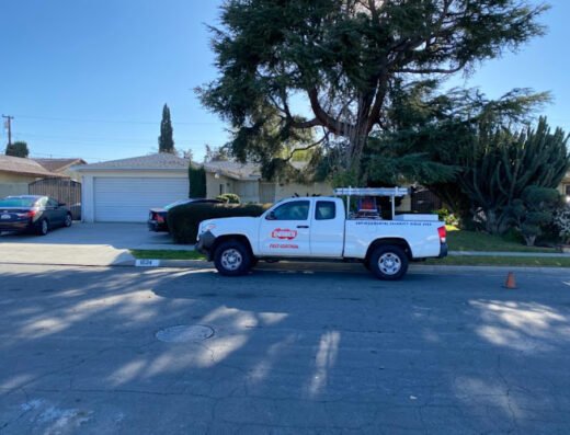 Dewey Pest & Termite Control – pest control in San Jose