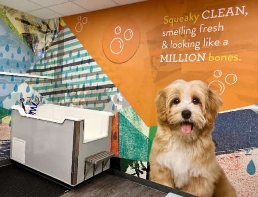 Dogtopia of Pearl District – pet care in Portland