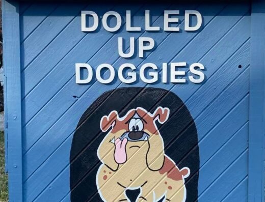 Dolled Up Doggies – pet care in Cincinnati