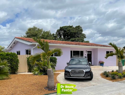 Dr House Painter of Miami