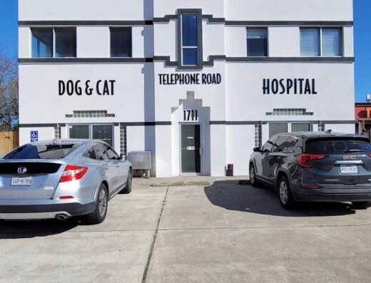 East End Animal Surgery and Urgent Care