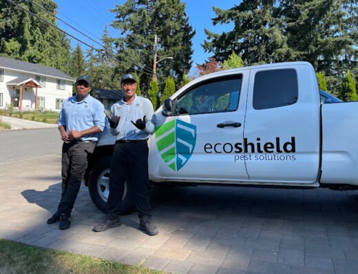 EcoShield Pest Solutions