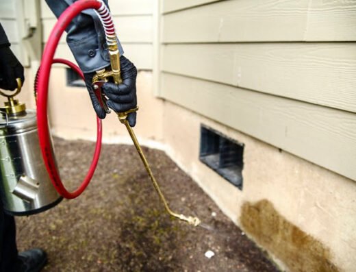 Empyrean Pest Management – pest control in Sacramento