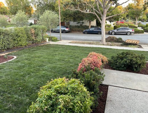 Excel Lawn Service – Lawn care in San Jose