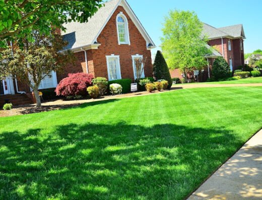 Ezcutz Lawncare