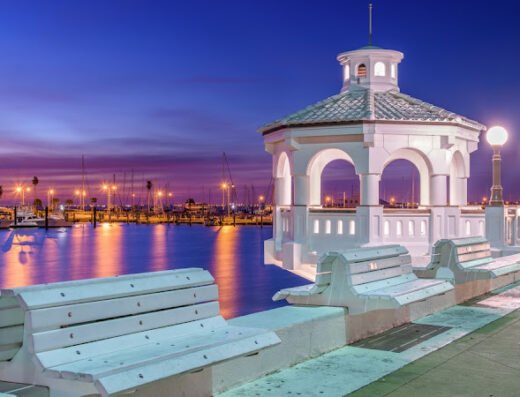 Fast Mold Testing – Corpus Christi