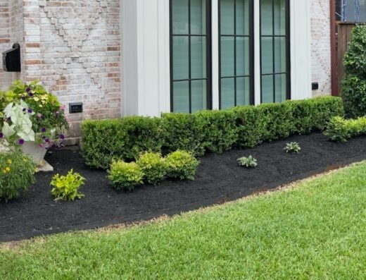 Fermin Lawn Maintenance