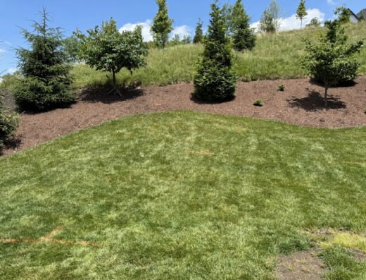First Landscaping Company