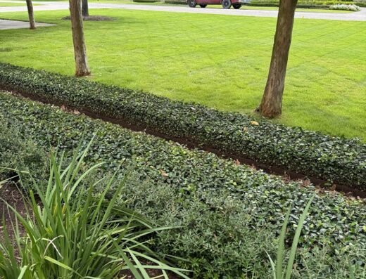 Flores lawn mowing