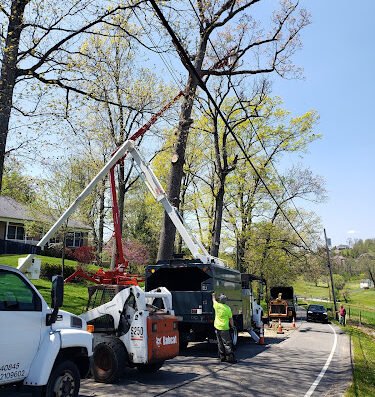 Fred's Tree & Lawn Service – lawn care in Pittsburgh