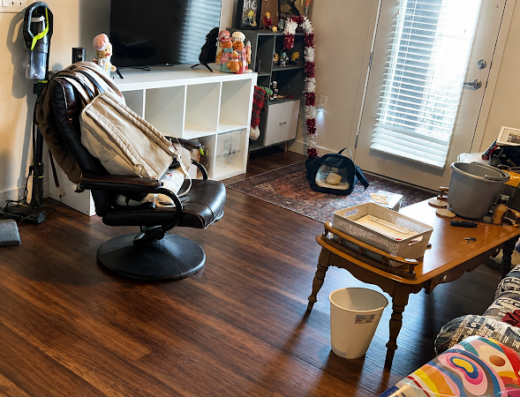 Freedom Cleaning Services – home cleaning in Salt Lake City