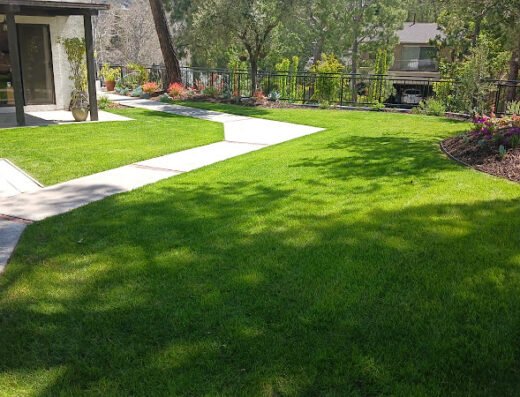 Genesis Lawn Care