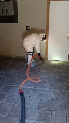German Rodent Control – pest control in San Jose