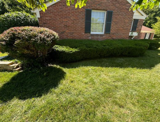 Gomez Landscaping & Tree Services Inc