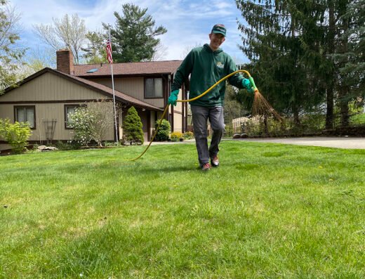 Good Nature Organic Lawn Care Pittsburgh