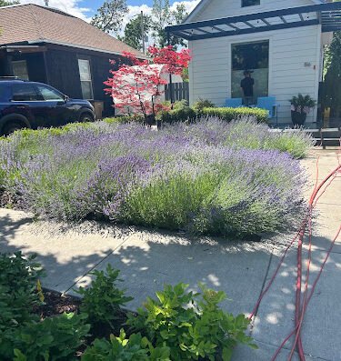 Grant Diamond – pressure washing in Salt Lake City