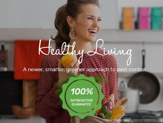 Green Army Healthy Home and Pest Solutions
