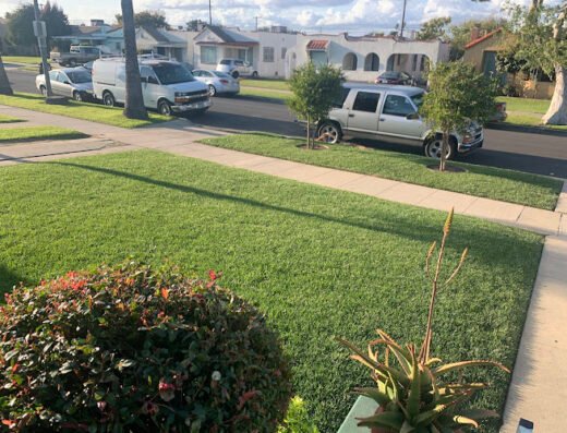 Green Grounds Landscape Services