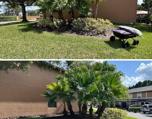 Green & Más Landscape Services – lawn care in Tampa