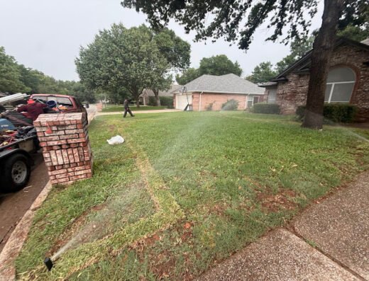 GreenLawn Landscape and Lawncare services