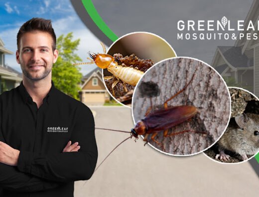 GreenLeaf Houston