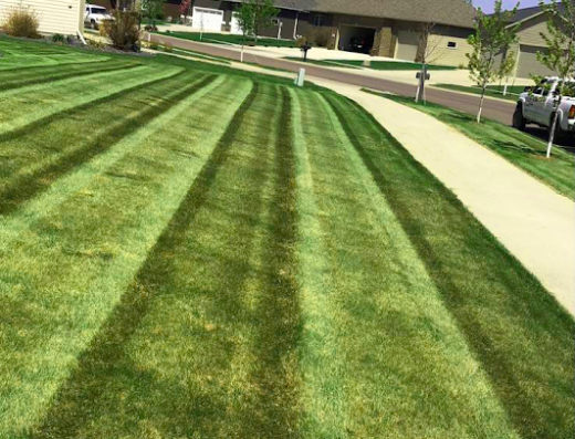 Greenshire Lawnservice LLC – lawn care in St. Louis