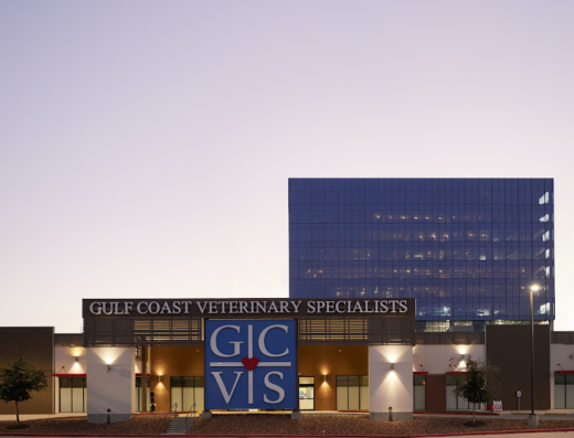 Gulf Coast Veterinary Specialists (GCVS)