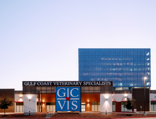 Gulf Coast Veterinary Specialists (GCVS)