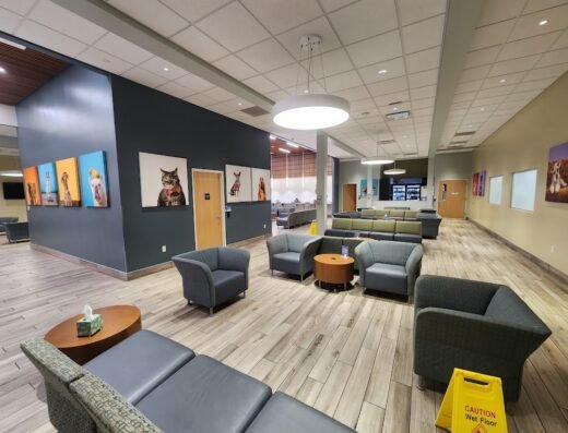 Gulf Coast Veterinary Specialists (GCVS)