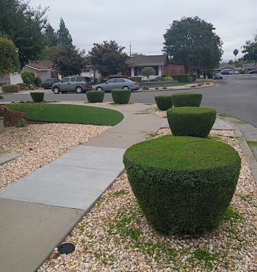 Guzman Landscaping Maintenance – Lawn care in San Jose